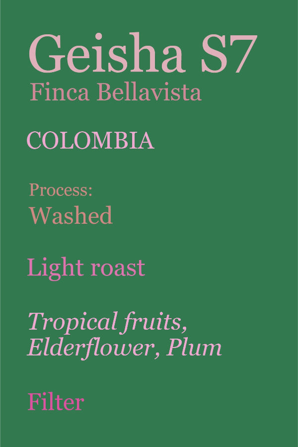 Geisha S7 Finca Bellavista, Colombia, Washed